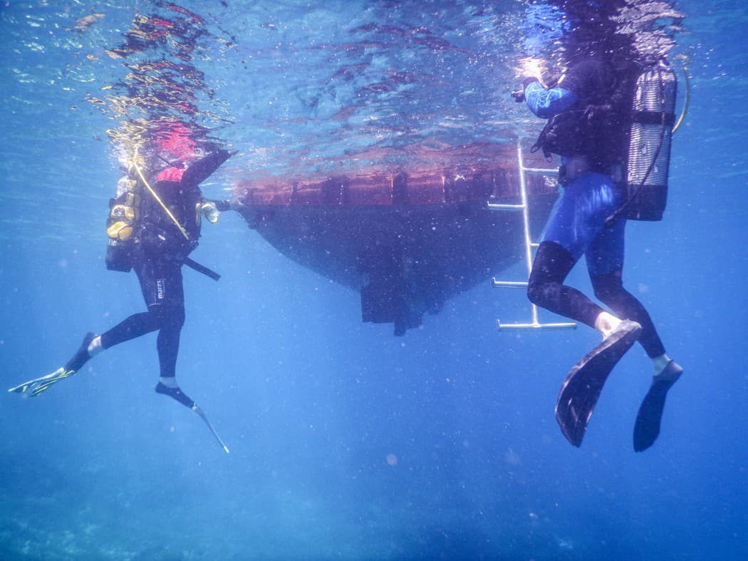 33 metrů, nebo 180 koní?